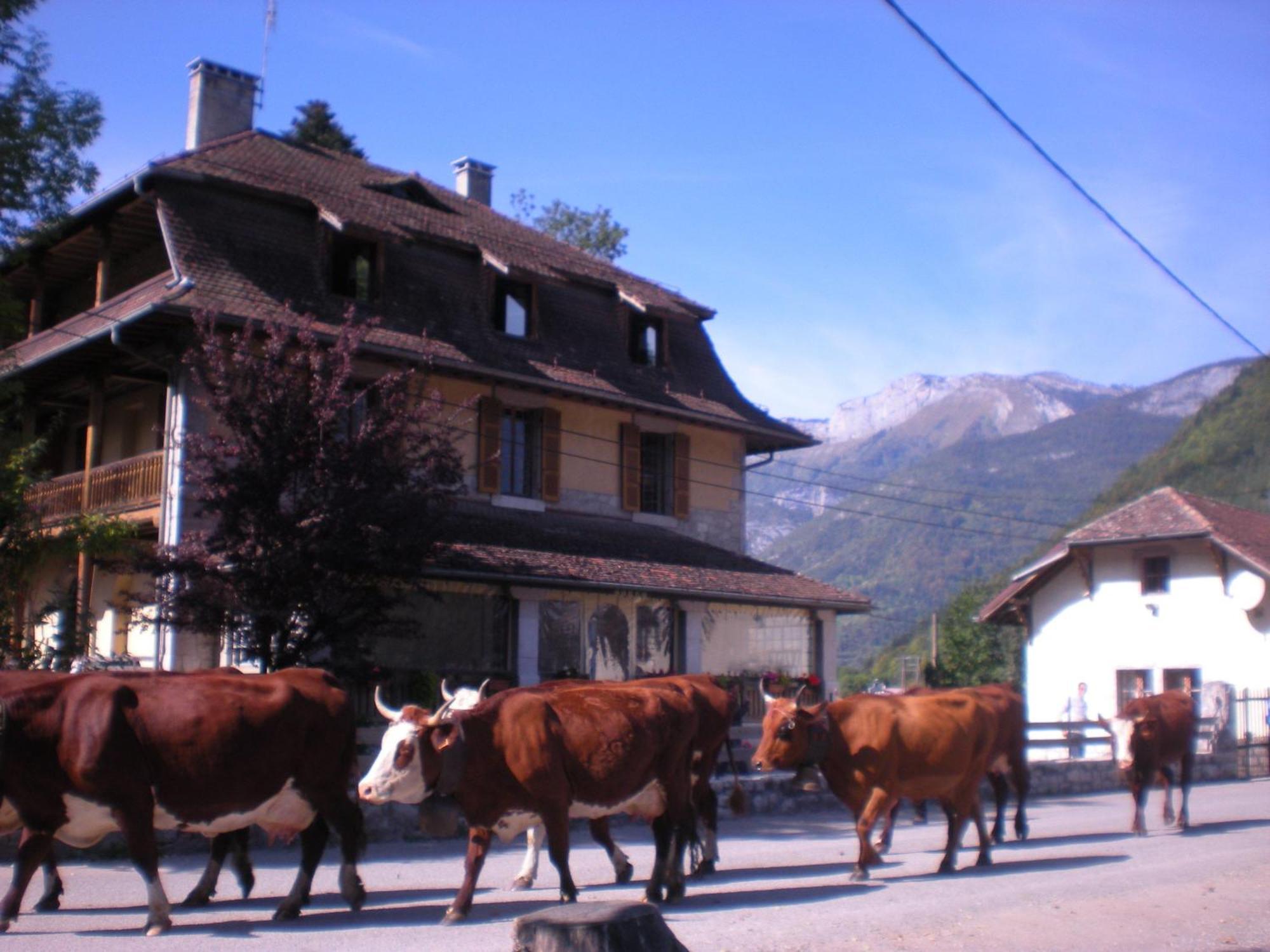 Gite Les Mesanges Thônes Buitenkant foto
